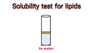 Solubility Test for Lipids Knowledge Academy [upl. by Pablo]