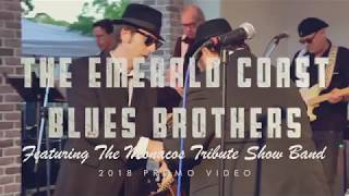 The Emerald Coast Blues Brothers featuring The Monacos Tribute Show Band [upl. by Maude]