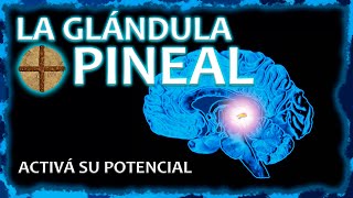 LA GLÁNDULA PINEAL  Activala y desatá todo tu potencial ⚡ [upl. by Cut407]