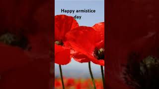 Happy armistice Sunday farmerkinggeorge difficultday besidemyself roadto1k [upl. by Adidnac]