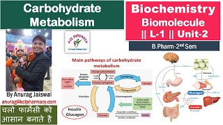 Introduction of Carbohydrate Metabolism  L1 Unit2 Biochemistry [upl. by Natsirc]