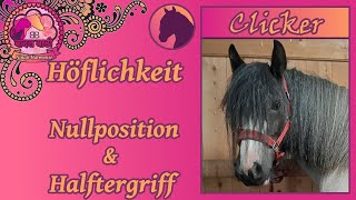 CLICK Höflichkeit Nullposition amp Halftergriff [upl. by Ahsii690]