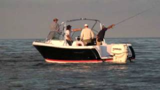 PROJECT BOAT 2008 ProLine 23 DC [upl. by Leanard]