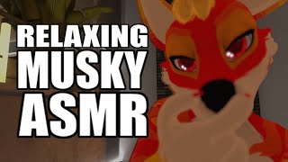 Furry ASMR A musky but yet very relaxing ASMR SOFTSPOKEN BOOK READING  TAPS 🥴 [upl. by Treboh]