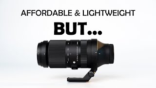 Sigma 100400mm DG DN Comprehensive Lens Review  Hard To Recommend For Wildlife Photography [upl. by Poliard]