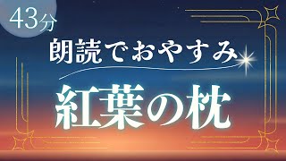 【作業用】おやすみ朗読『紅葉の枕』寝落ちできる読み聞かせ朗読【睡眠導入】 [upl. by Nnayd489]