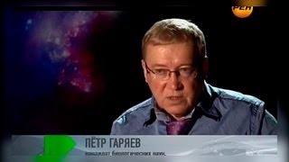 Гаряев Пётр Петрович  Кто мы из передачи Живая тема №32 «Творцы человечества» [upl. by Arimlede]