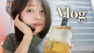 Vlog 어떤 직장인의 일상 근데 이제 위스키 추천과 하울을 곁들인 🎁 [upl. by Leatrice]