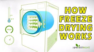 How Freeze Drying Works [upl. by Idou]