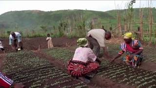 RD Congo NordKivu  Relance agricole 122008 [upl. by Annaiel]