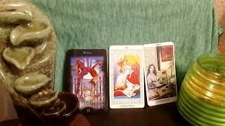 ♌ LEW 🦁TARO LISTOPAD2024r tarot popularne [upl. by Kordula]