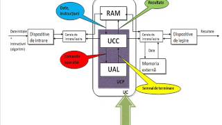 Structura unui sistem de calcul [upl. by Joceline552]