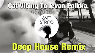 Cat Vibing To Ievan Polkka SAMString Remix [upl. by Yecad]