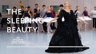 The Sleeping Beauty rehearsal video of Carabosse  Dutch National Ballet [upl. by Ttezzil]