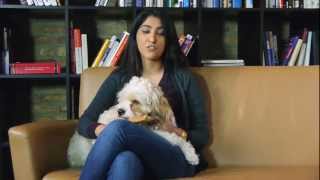 Himalayan Dog Chews  Dog Chew Review by Gauri amp Murry  doggyloot [upl. by Correy]