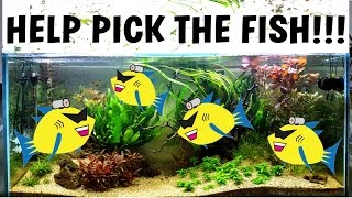 HELP PICK THE FISH NEW Planted Aquarium  Aquascaping In The Tetra Tank [upl. by Lamhaj]