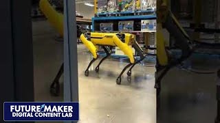 This is Spot He’s a Boston Dynamics robot dog [upl. by Noraf]