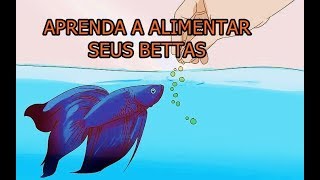 Alimentação dos bettas do dia 1 até os 3 meses de vida [upl. by Heyward554]