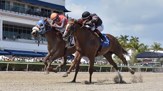 BEELINE  HUTCHESON STAKES 2024 [upl. by Juliette]