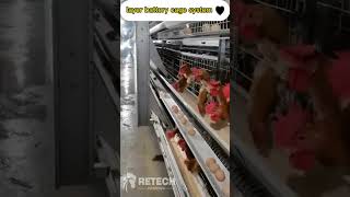 Layer Egg Chicken Cage  Poultry Farm House Design  Layer Battery System RETECH Farming [upl. by Huesman]