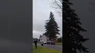 WATCH  Officers chase noncompliant pig in Washington neighbourhood [upl. by Lindbom]