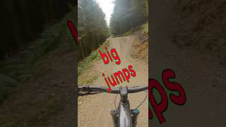 Llandegla forest new mtb jump line shorts freeride [upl. by Tama445]