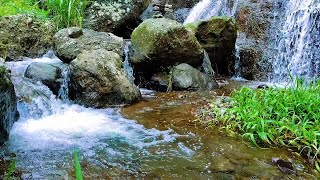 Relaxing River Sounds Soothing Stream Sounds Wild Birds Chirping Bird Song Mountain Stream [upl. by Angle]