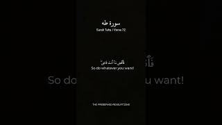 Surah Taha 72  Mishary al Afasy misharyalafasy mishary shorts [upl. by Lacombe127]