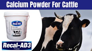 Recal AD3  Calcium Powder For Cattle [upl. by Christalle]