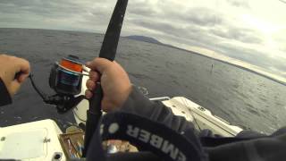 Fishing Off Montague Island at Bermagui [upl. by Nuzzi183]