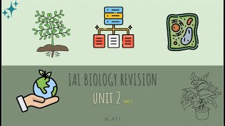 COMPLETE unit 2 IAL biology past papers and last minute revision [upl. by Asirehc]