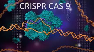 CRISPR CAS9  An Acquired immune system of bacteria explained [upl. by Danziger460]