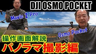 DJI OSMO POCKET パノラマ撮影編 Mavic 2 Proのパノラマも操作画面でレビュー [upl. by Nauqyt]