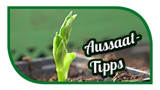 Aussaat amp Gartentipps im März🌱 Jungpflanzenanzucht 🌱 erste Freilandaussaaten [upl. by Sandry]