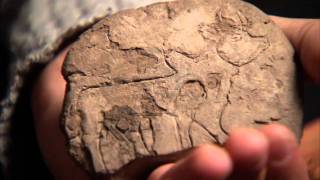 Treasures of the UCLA Library Cuneiform Tablets Part 3 of 5 [upl. by Auginahs]