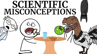 Scientific Misconceptions For You To Bring Up During Family Dinner [upl. by Carlen]