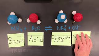 BrønstedLowry Conjugate AcidBase Pairs [upl. by Chavey264]