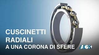 Cuscinetti Radiali a una corona di sfere  Cuscinetti alta capacità [upl. by Miharbi]