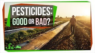 How Safe Are Pesticides Really [upl. by Akitahs]