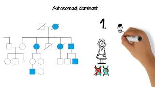 autosomaal dominante overerving [upl. by Macdermot]