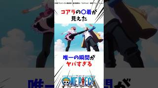 コアラの大事な部分が見えた瞬間がヤバすぎるワンピース 最新話 onepiece 考察 雑学 [upl. by Torto271]