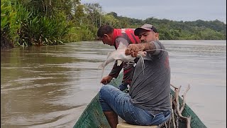 Pesca de blancos [upl. by Adaminah245]