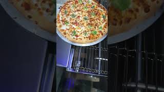 Rtech Impinger Pizza Conveyor Oven Demo Tested by Md Rashid [upl. by Ariahaj773]