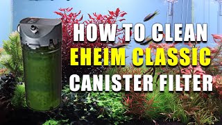 How to Clean an Eheim Classic Canister Filter [upl. by Susy]