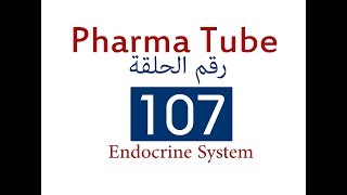 Pharma Tube  107  Endocrine System  6  Adrenocortical Hormones [upl. by Jeddy]