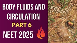 Line to line from new NCERT 💯  BODY FLUIDS AND CIRCULATION Part 6  NEET 2025 by DR MANAND BIOLOGY [upl. by Macswan]