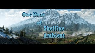 The Witcher 3  1 HOUR of AMBIENT SKELLIGE MUSIC [upl. by Karine]