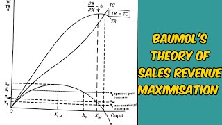 Baumol theory of sales revenue maximum [upl. by Sedgewake]