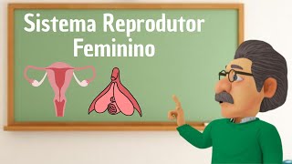 Como funciona o Sistema Reprodutor Feminino [upl. by Attenyl]