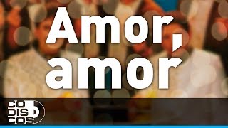 Amor Amor Binomio De Oro  Audio [upl. by Gnilyarg]